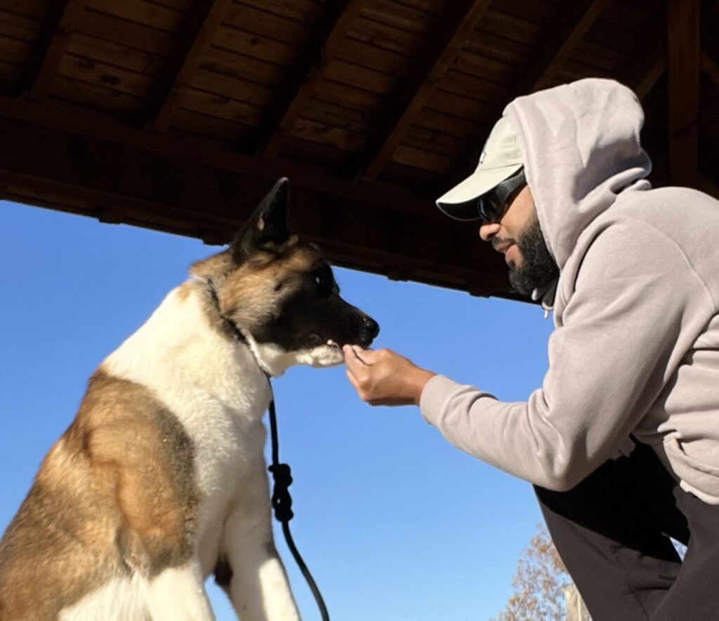 AKITA-Personal Dog Trainer