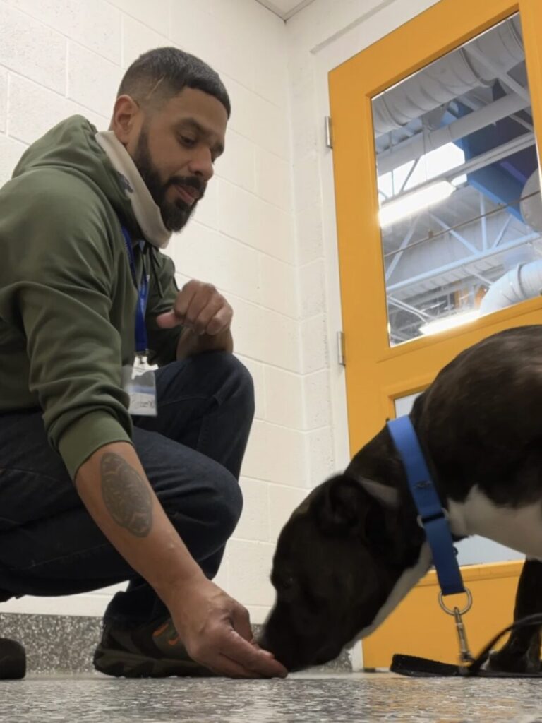 AKITA-Personal Dog Trainer